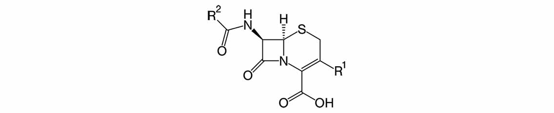 cefalosporin-antibiotik